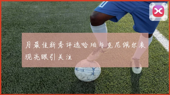 月最佳新秀评选哈珀与克尼佩尔表现亮眼引关注